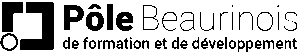 logo noir